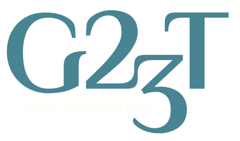 G23T STAR CONSULTING logo